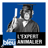 Podcast france bleu L'expert animalier
